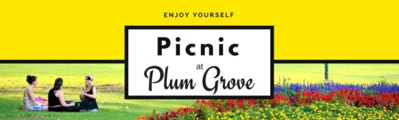 Picnic at Plum Grove
