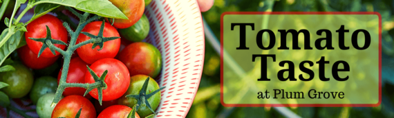CANCELLED: Tomato Taste at Plum Grove