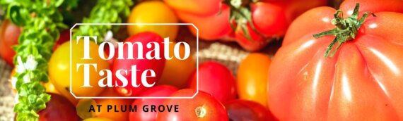Tomato Taste at Plum Grove